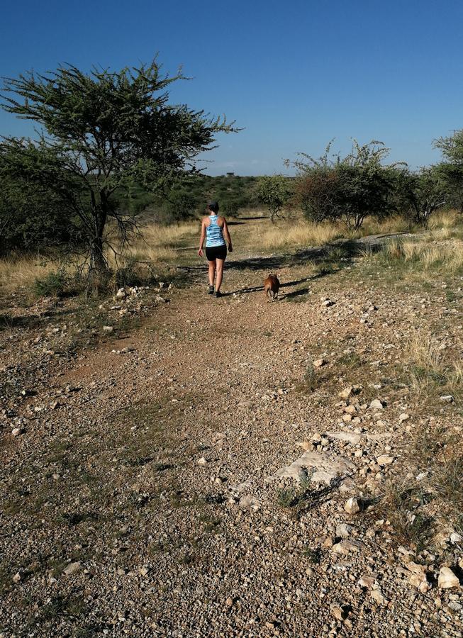 Etotongwe Lodge Outjo Exteriér fotografie
